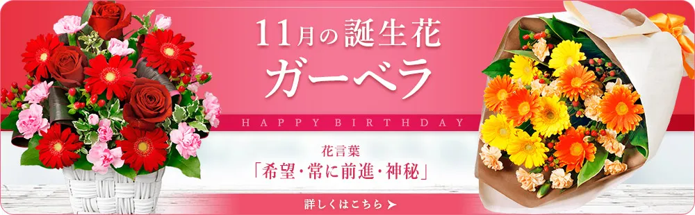 花キューピットの11月の誕生花