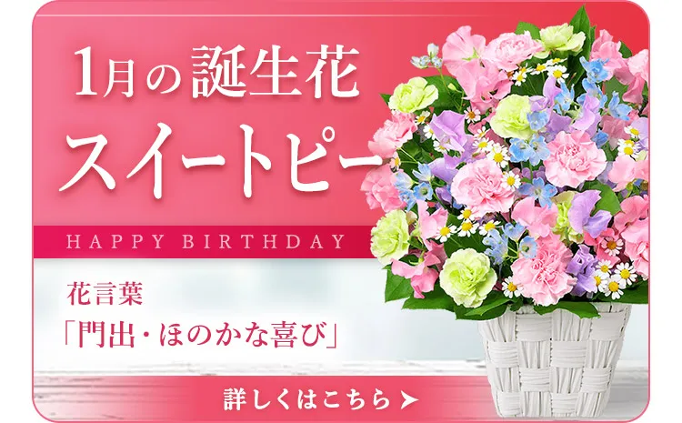 1月の誕生花 | スイートピー