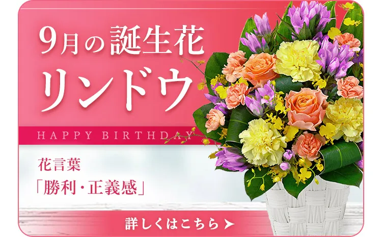 9月の誕生花 | リンドウ