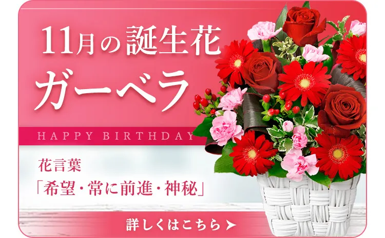 11月の誕生花 | ガーベラ