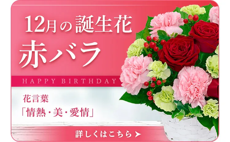 12月の誕生花 | 赤バラ