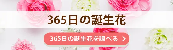 365日の誕生花 今日のお花はどんな花？　～インターネット花キューピット～