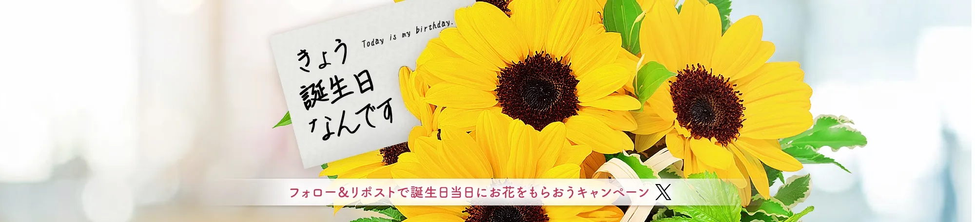 フォロー＆RTで誕生日当日に花束をもらおうキャンペーン