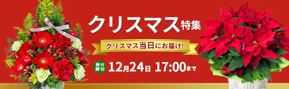 花キューピットのクリスマス 花のギフト・プレゼント特集2024