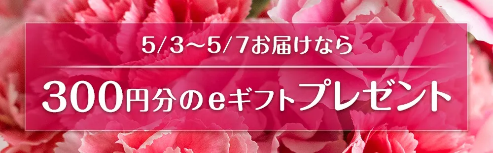 花キューピット母の日 プレゼントキャンペーン2024