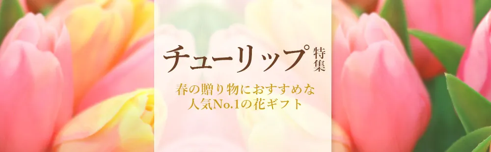 花キューピットのチューリップ ギフト・プレゼント特集2024