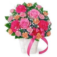 バラ  | 花の種類・スタイルから探す