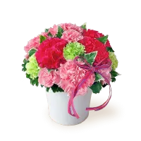 母の日の花<br>毎年人気のギフト｜母の日 花のギフト・プレゼント特集2026
