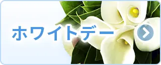 ホワイトデー特集