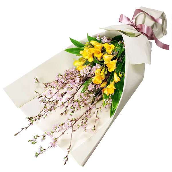 【春のお誕生日特集】さくらの花とフリージアの花束 511844 ｜花キューピットの春のお誕生日 花のギフト・プレゼント特集2024