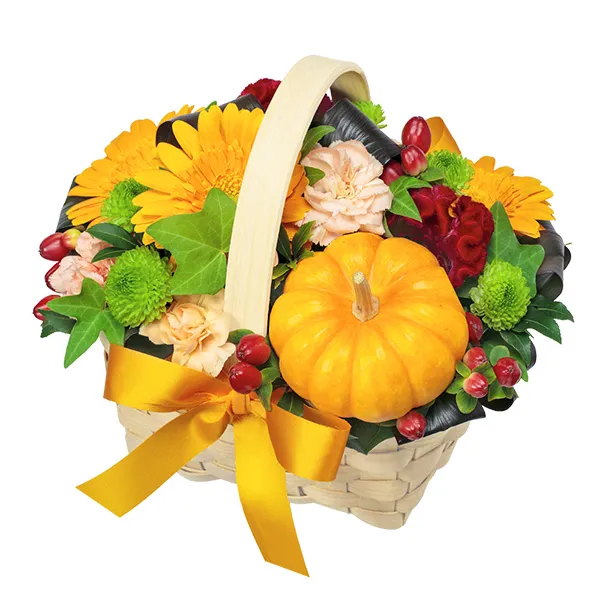 【秋の花贈り特集】ハロウィンのオレンジバスケット 511914 ｜花キューピットの秋の花贈り ギフト・プレゼント特集2023