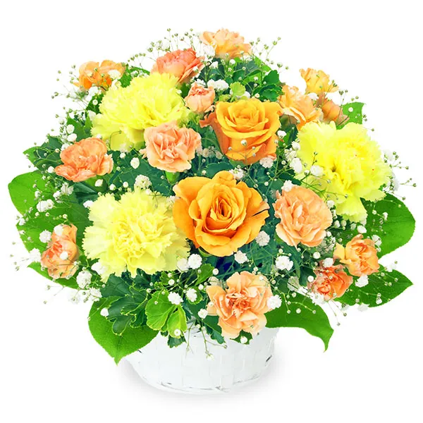 【春の花贈り特集】オレンジバラのアレンジメント 511999 ｜花キューピットの春の退職祝い 花のギフト・プレゼント特集2024