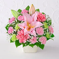 母の日に贈りたい花のギフト・プレゼント2026
