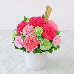 母の日の花アレンジメント｜母の日 花のギフト・プレゼント特集