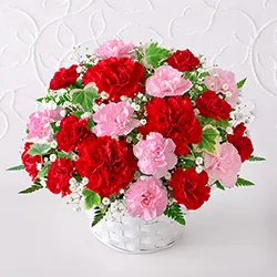 母の日に贈りたい花のギフト・プレゼント2026