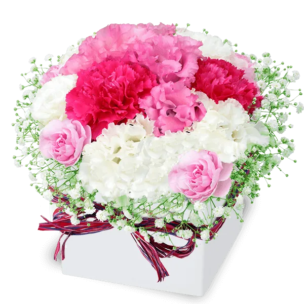 8月の誕生花・トルコキキョウ