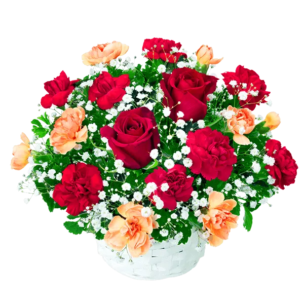 いい夫婦の日 花のおすすめランキング｜いい夫婦の日 11月22日 花のギフト・プレゼント特集2024
