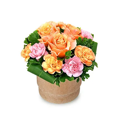 【バラ特集】オレンジバラのウッドポットアレンジ 512584 ｜花キューピットのバラ 花のギフト・プレゼント特集2024