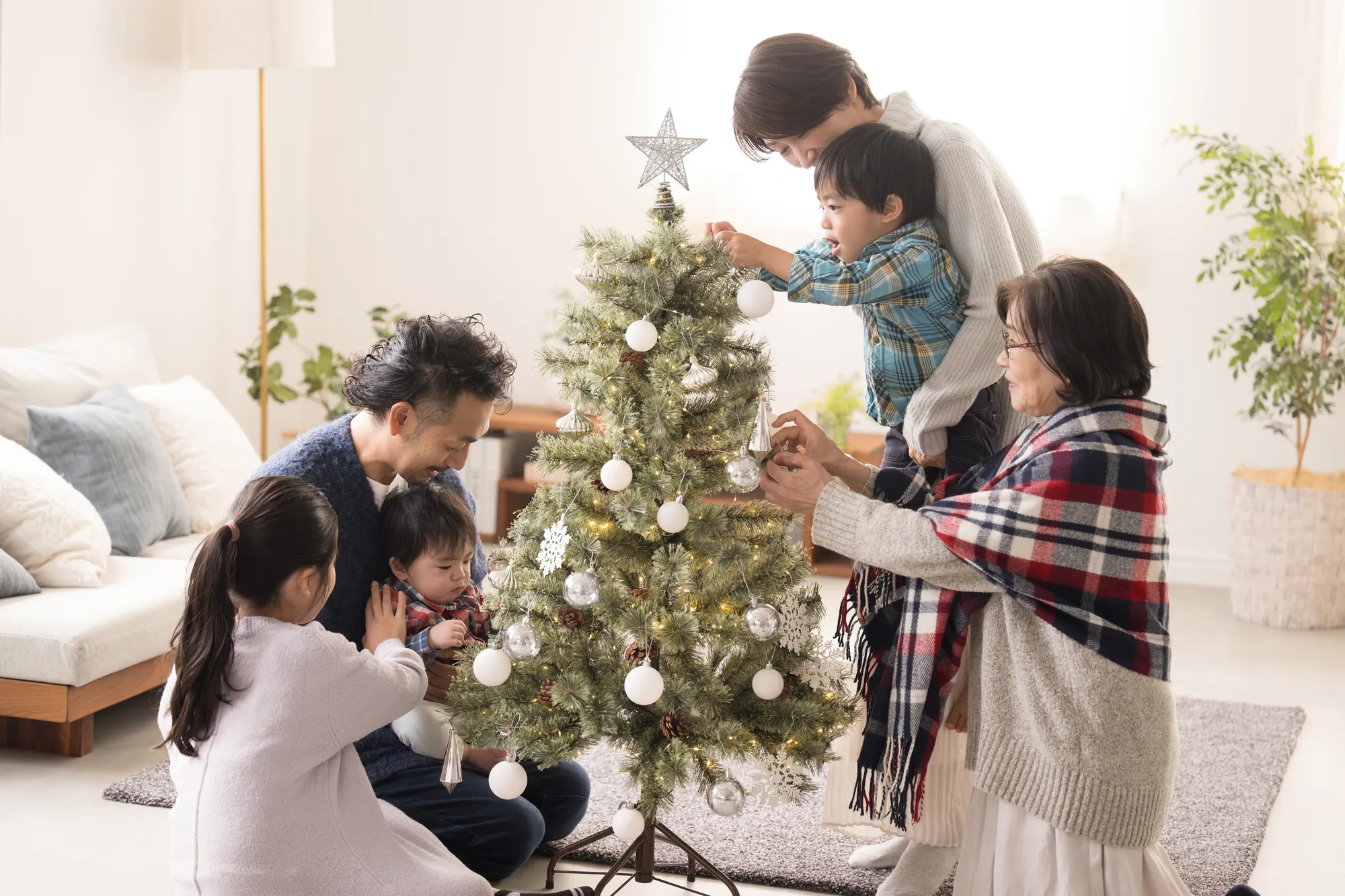 クリスマスにおすすめの花材別ギフト 家族へ贈る｜花キューピットのクリスマス 花のギフト・プレゼント特集2024