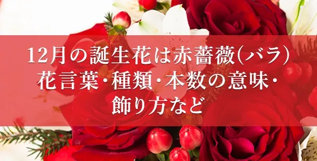 12月の誕生花は赤薔薇（バラ）。花言葉・種類・本数の意味・飾り方など