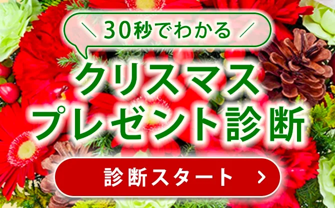 クリスマスプレゼント診断